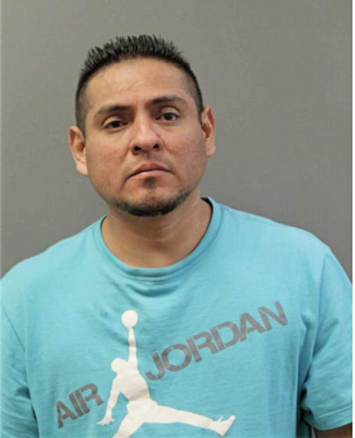 ROGELIO BRAVO, Cook County, Illinois