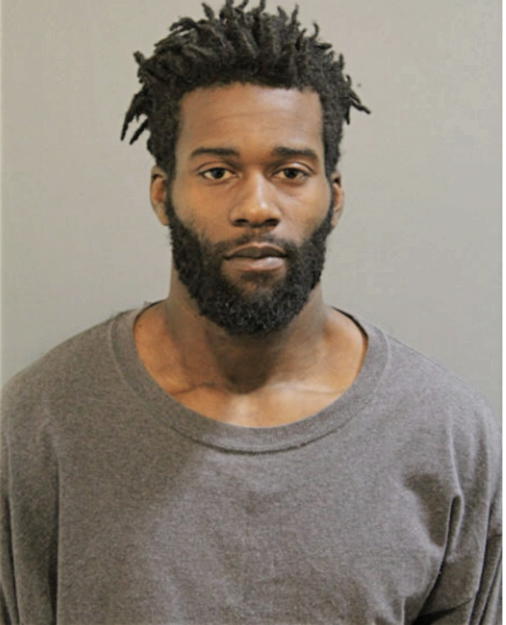 DAMION D BROWN, Cook County, Illinois