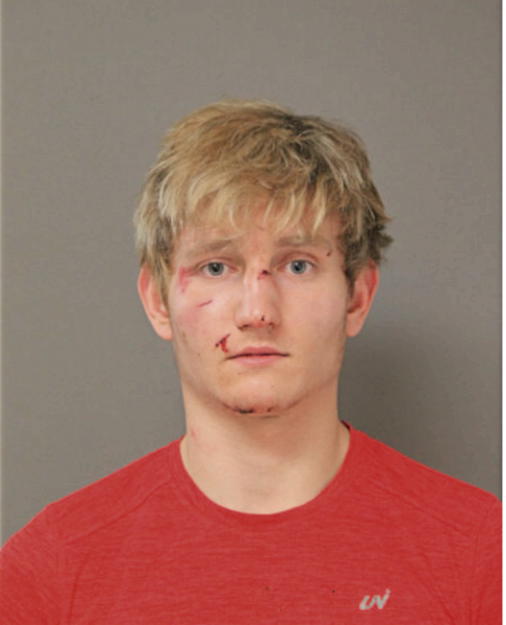TOMASZ BRZOSTOWSKI, Cook County, Illinois