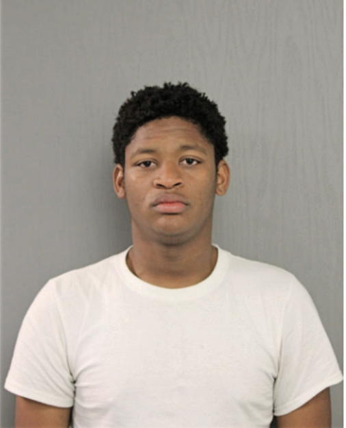 MICHAEL M DAVIS, Cook County, Illinois