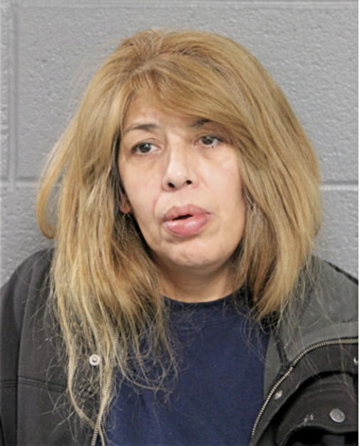 ELVIRA FLORES, Cook County, Illinois