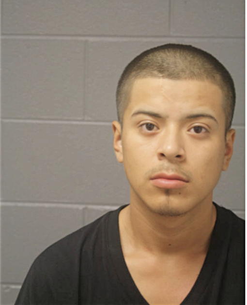 HUGO FLORES, Cook County, Illinois