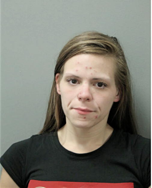 CAROL A FRIEDBERG, Cook County, Illinois