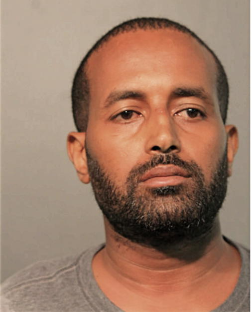 TEMESGEN GEDAR, Cook County, Illinois