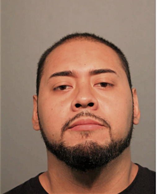 DIEGO L GOMEZ, Cook County, Illinois