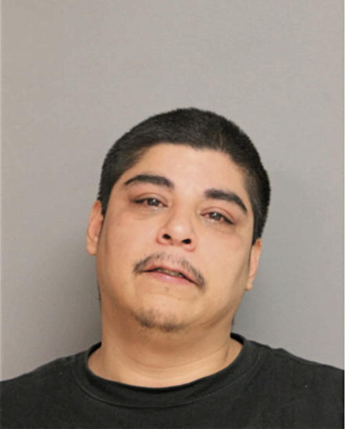 LOUIS J GONZALEZ, Cook County, Illinois