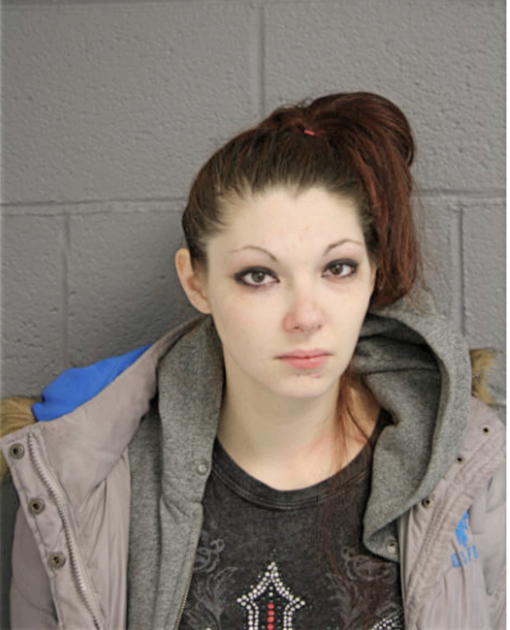 SARAH N HUGHES, Cook County, Illinois