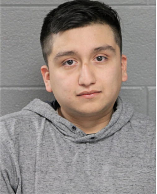 LUIS LASSIO, Cook County, Illinois