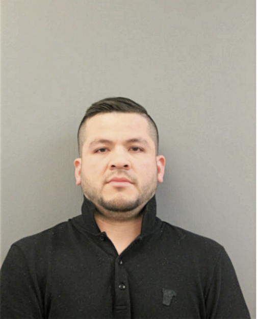 LUIZ R LEON GOMEZ, Cook County, Illinois