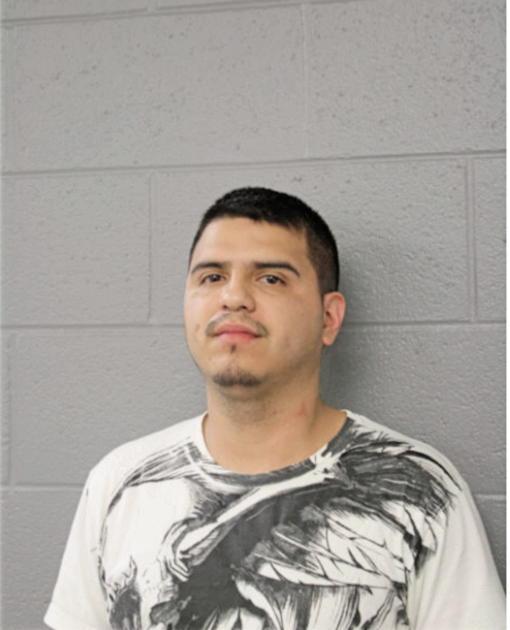 JULIAN LINDO, Cook County, Illinois