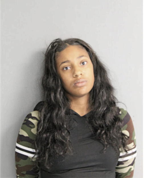 DNESHA L MCKINNEY, Cook County, Illinois