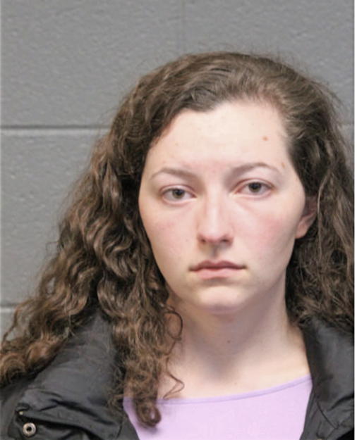 SEANA L NICOL, Cook County, Illinois