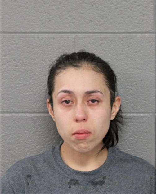 ANDREA M ORTIZ, Cook County, Illinois