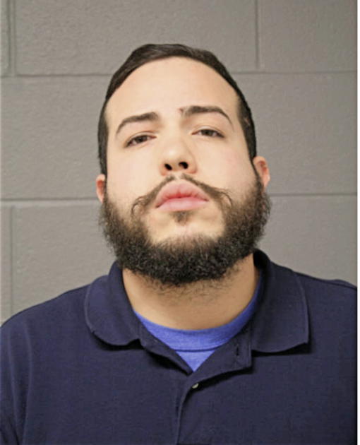 NELSON R ORTIZ, Cook County, Illinois
