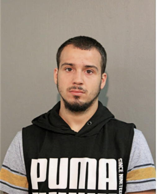 ANTHONY PARKS, Cook County, Illinois