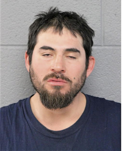 IRVING DE PAZ, Cook County, Illinois