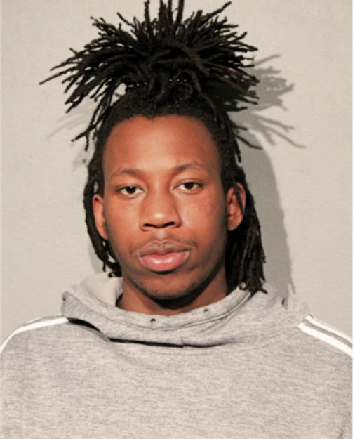 DAVID D PHIPPS, Cook County, Illinois