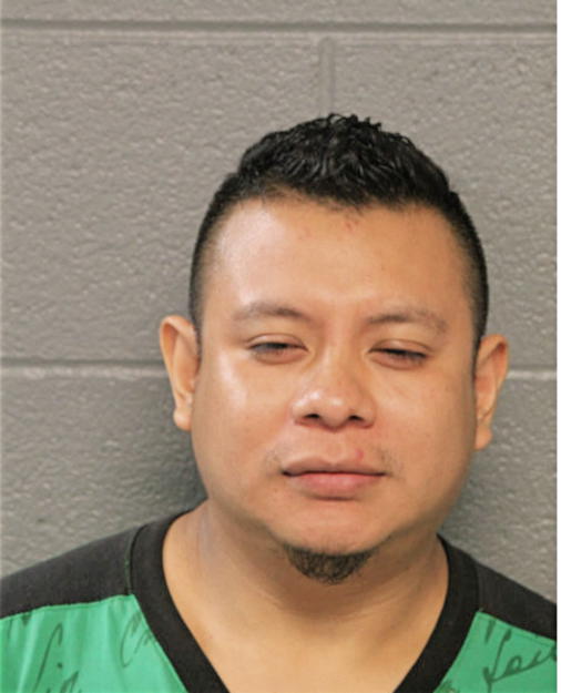 HORACIO DOMINGUEZ/ SANTIAGO, Cook County, Illinois