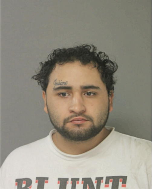 JOSHUA D TREJO, Cook County, Illinois