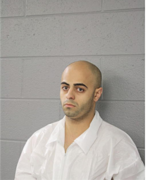 SHADI K AHMAD, Cook County, Illinois