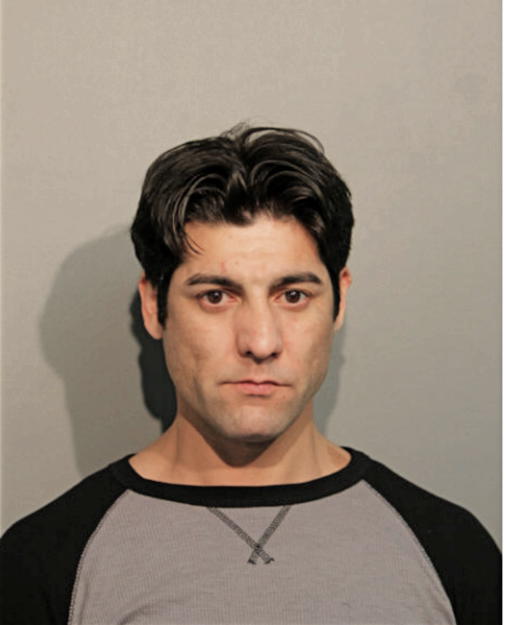 LAURENTIU F DRAGOMIR, Cook County, Illinois