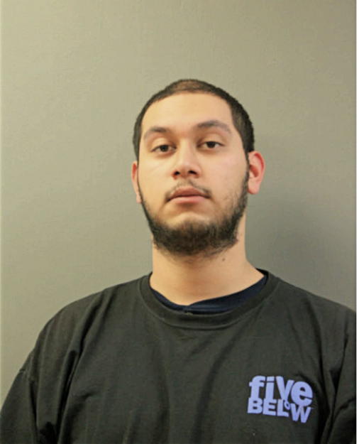 LUIS E CHANG, Cook County, Illinois