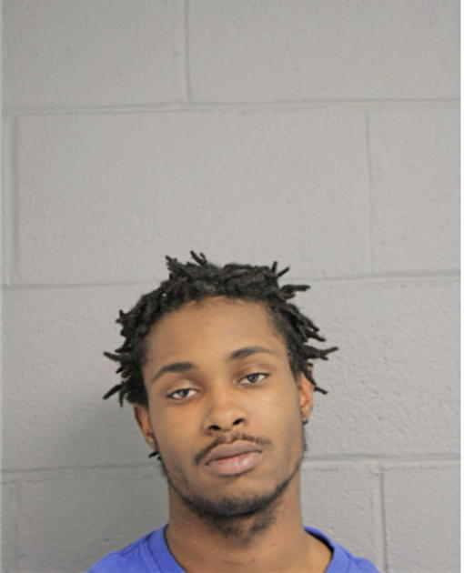 LIZRICK S ELLIS, Cook County, Illinois