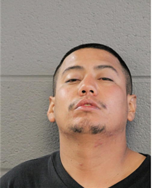 RICARDO GONZALEZ, Cook County, Illinois