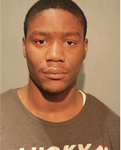 LARRY G HUDSON, Cook County, Illinois