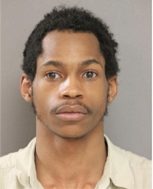 DAMIEN L JEFFRIES-BELL, Cook County, Illinois