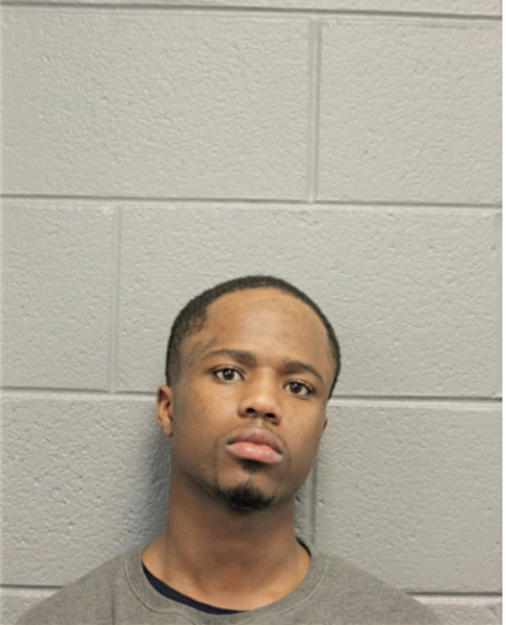 DARYL D MCGOWAN, Cook County, Illinois