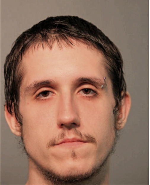 ROBERT A MIKKELSON, Cook County, Illinois