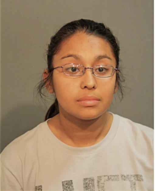 SILVIA C NUNEZ-MONTENEGRO, Cook County, Illinois