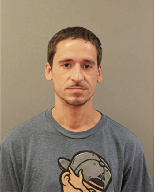 JESUS ORTIZ, Cook County, Illinois