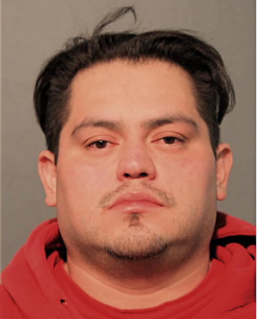 LUIS PEREDO-AVALOS, Cook County, Illinois