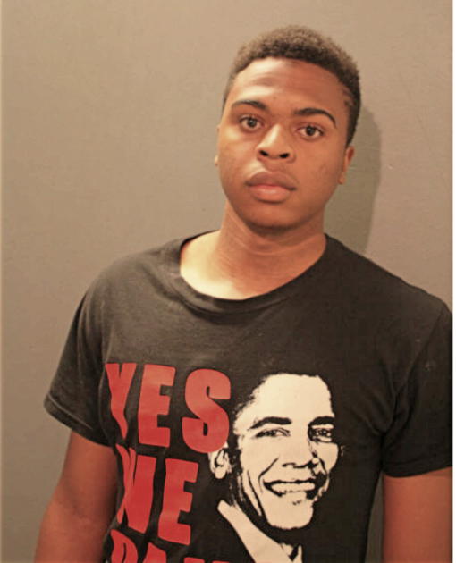 BRYANT J PERRY, Cook County, Illinois