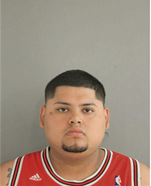 EDGAR SOTELO, Cook County, Illinois