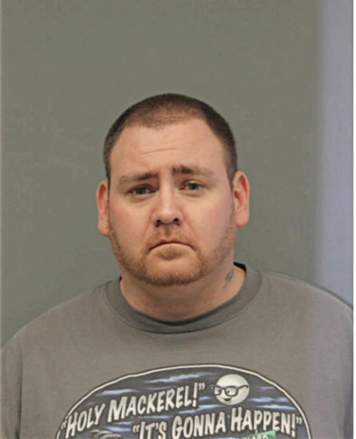 CHRISTOPHER R ALSTINE, Cook County, Illinois