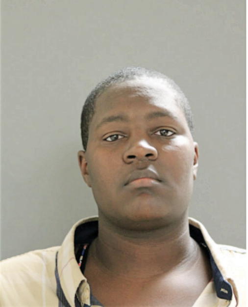 TANEKA J ASHLEY, Cook County, Illinois