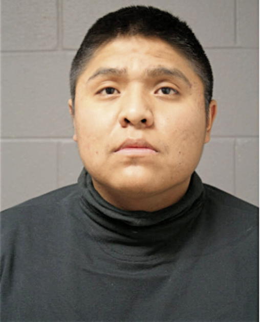 BRADLEY BRIAN BIA, Cook County, Illinois