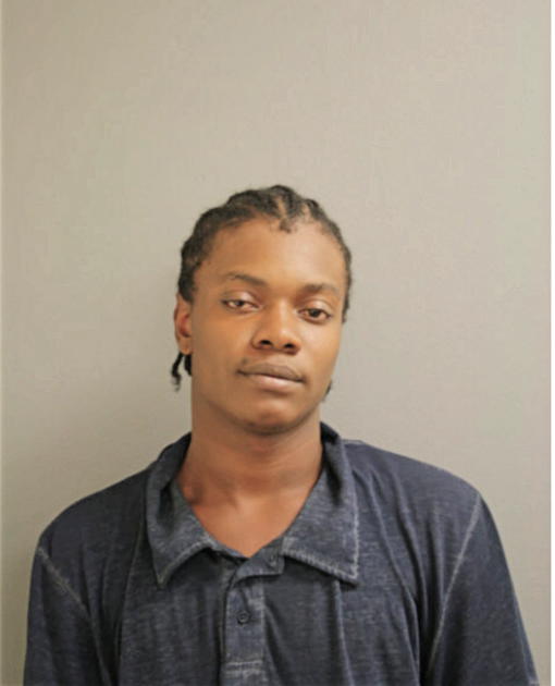 ALVIN L BLIZZARD, Cook County, Illinois