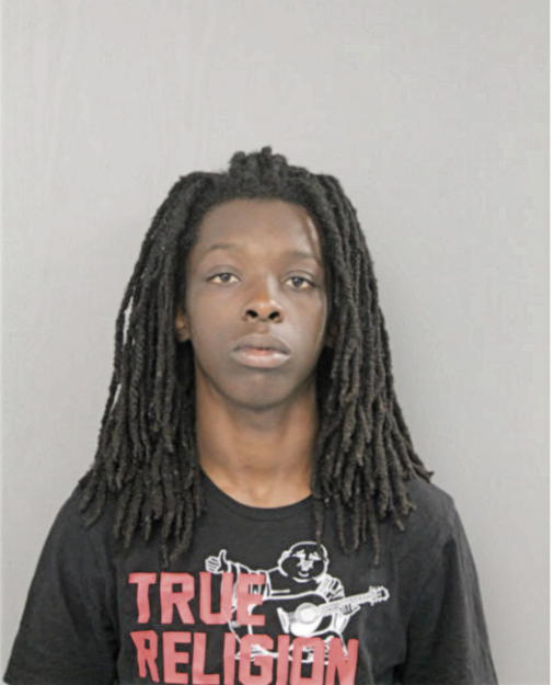 NIGEL L CONNER, Cook County, Illinois