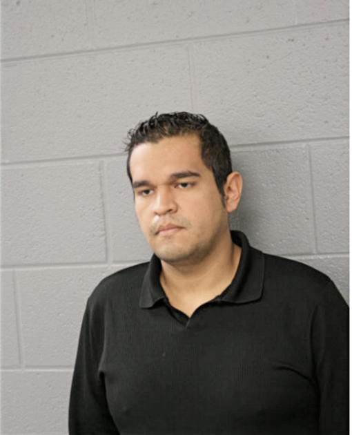 LUIS A FUENTES, Cook County, Illinois