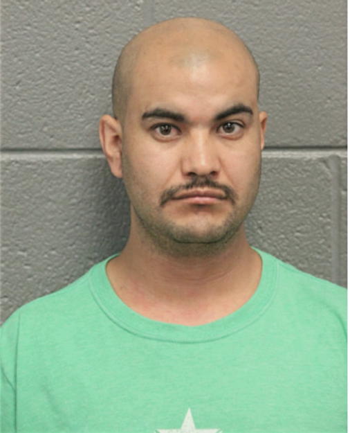 NICANOR GARCIA-SANTOYO, Cook County, Illinois