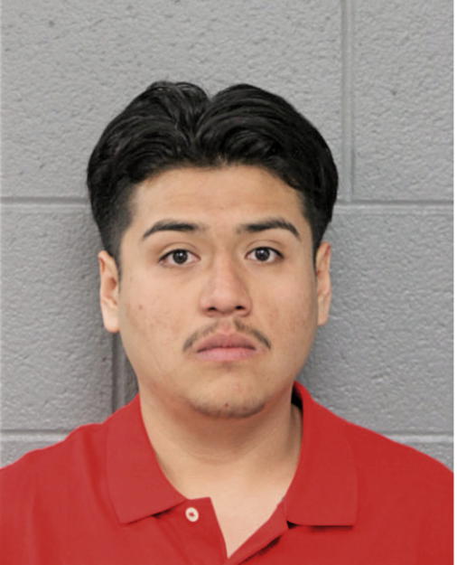 JHOVANNY A GONZALEZ, Cook County, Illinois