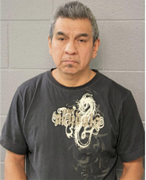 TELESFORO GONZALEZ, Cook County, Illinois