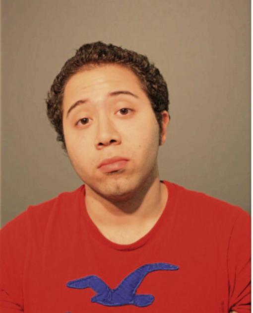 NATHANIEL J HERNANDEZ, Cook County, Illinois