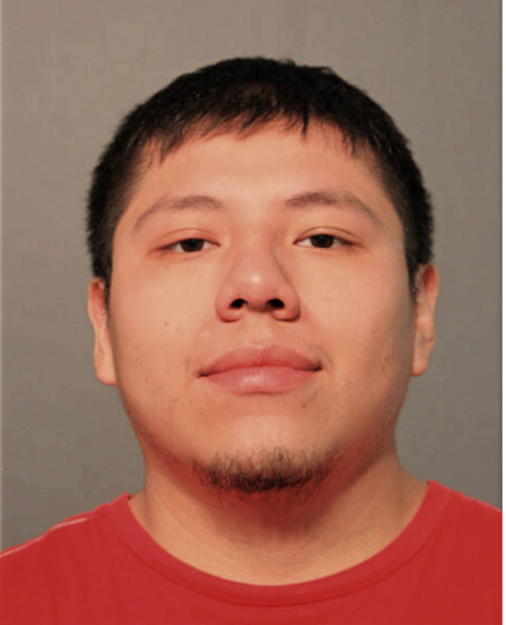 DANTONY A HONORATO, Cook County, Illinois