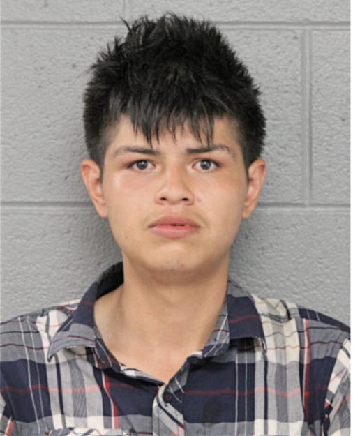 JOAQUIN MEDINA, Cook County, Illinois