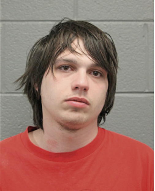 MATTHEW R NATALE, Cook County, Illinois